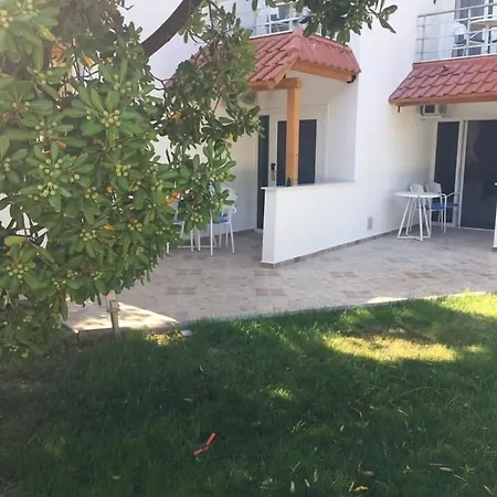 Angelina אורמוס פנגיאס